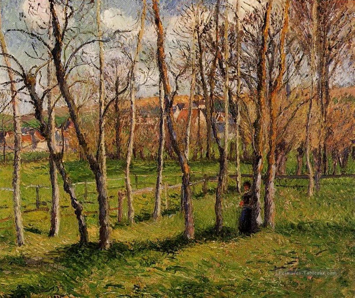 prairie à bazincourt 1885 Camille Pissarro paysage Peintures à l'huile